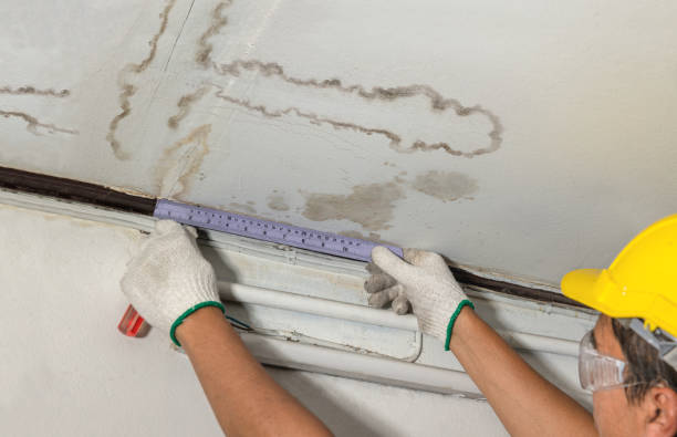 Reliable Structural Drying contractor in New Weston, OH by Water Damage Irwin